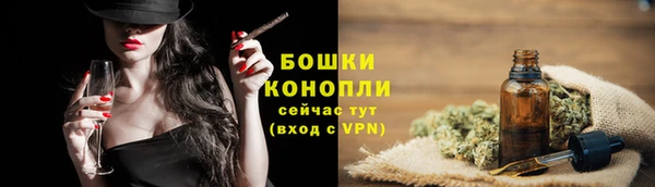 молекула духа Зеленокумск