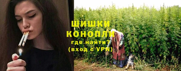 молекула духа Зеленокумск