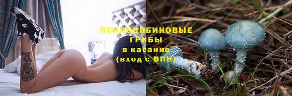 твердый Заволжск