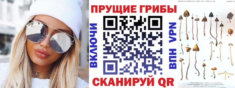 дарк нет телеграм  Смоленск  Галлюциногенные грибы прущие грибы 